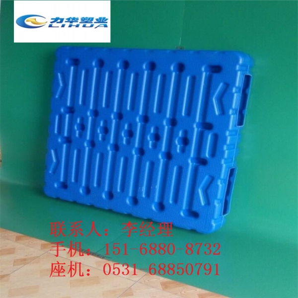 专业塑料栈板生产厂家