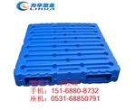 山东塑料托盘