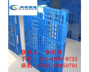 仓库防水防污双面网格塑料托盘厂家