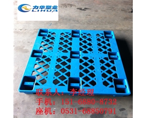 专业塑料栈板生产厂家