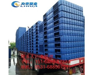 面粉行业专用塑料托盘批发