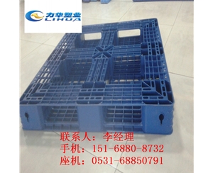 保护生态环境装柜塑料托盘