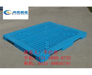 防潮塑料栈板厂家